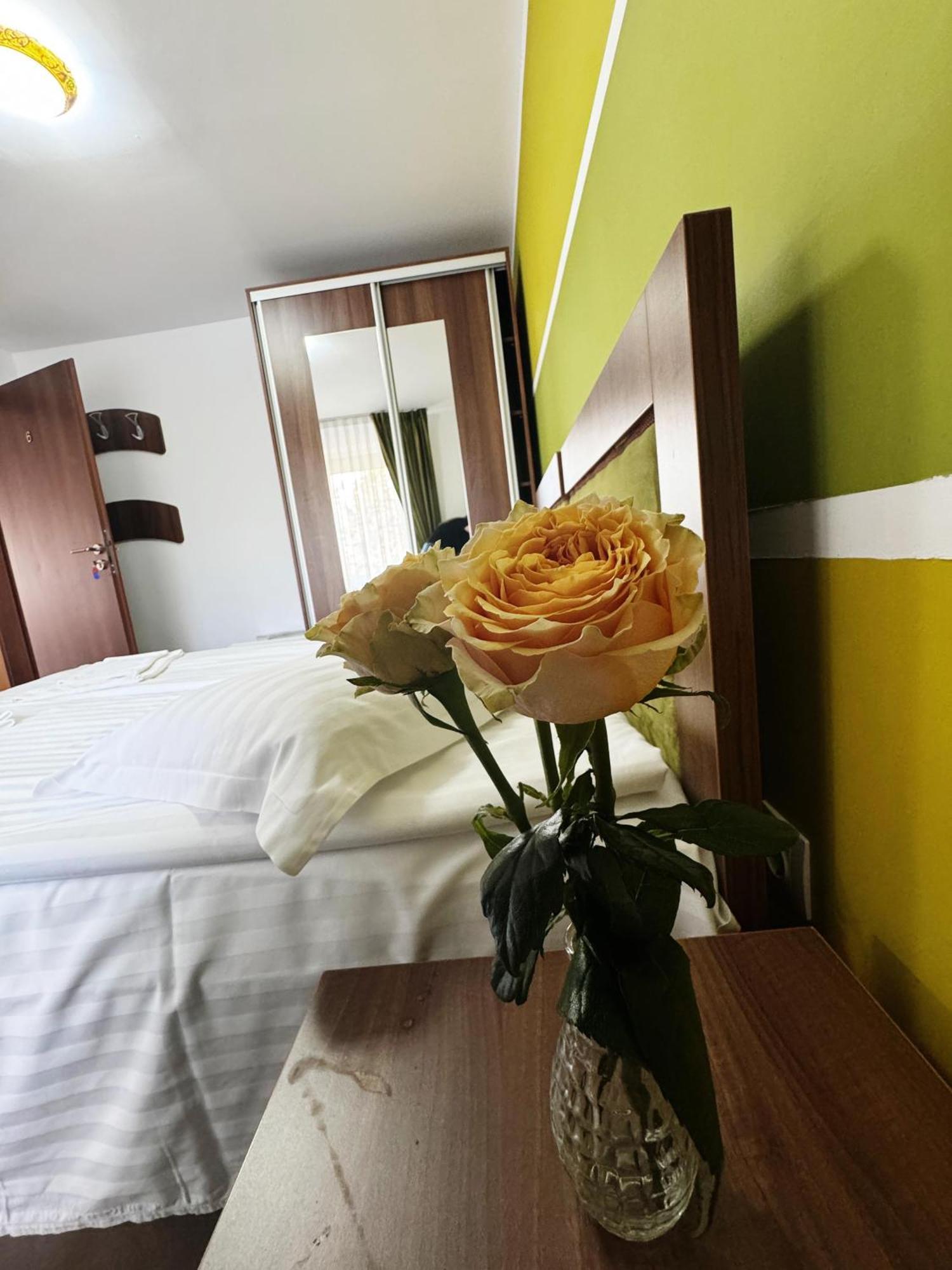Hotel Carpathian Newstar Sibiu Exterior foto